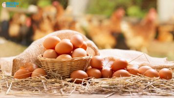 Mẹo bảo quản trứng luôn tươi ngon không cần tới tủ lạnh