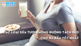Các loại sữa tươi không đường tách béo cho bà bầu tốt nhất