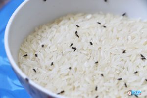 Mẹo hay nhà bếp: bốn cách đơn giản để xử lý gạo bị sâu mọt