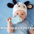 Kích thước túi thai theo tuần tuổi mà các bậc phụ huynh cần biết