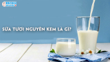 Sữa tươi nguyên kem là gì? Sữa nguyên kem loại nào tốt nhất?