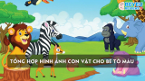 Tổng hợp hình ảnh con vật cho bé tô màu đơn giản