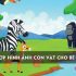 Sữa Meiji Nhật có tốt không? Có nên cho bé uống sữa Meiji?
